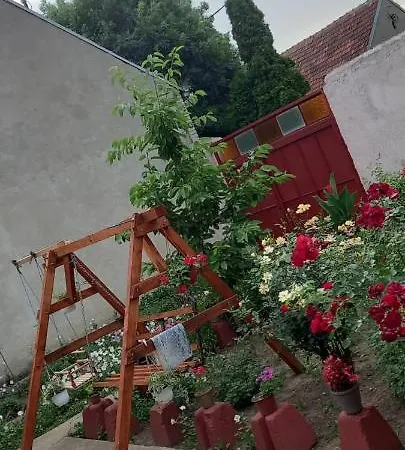 Ljiljana Bela Crkva 벨라 츠르크바