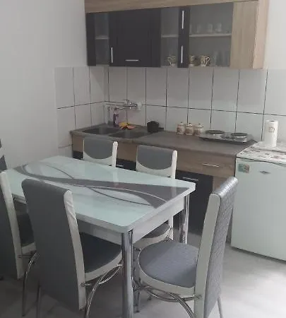 Ljiljana Bela Crkva 벨라 츠르크바