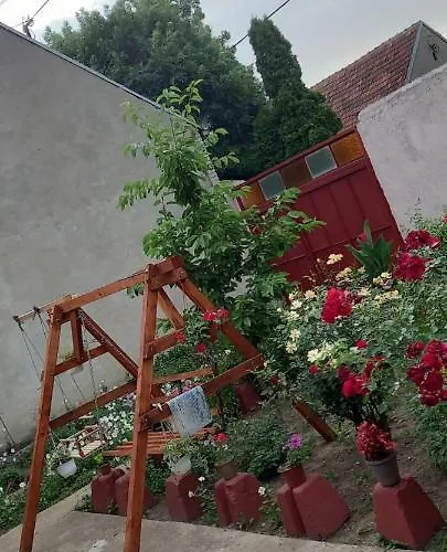 Ljiljana Bela Crkva 벨라 츠르크바